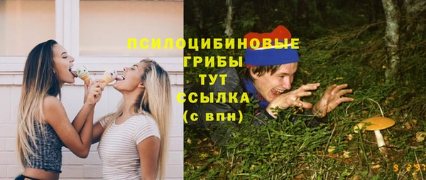 прущий лед Алексеевка