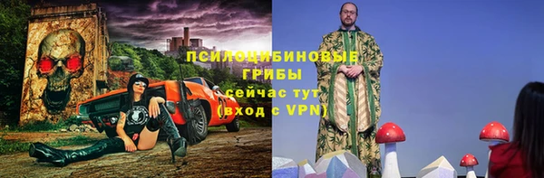 apvp Алексин