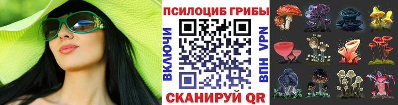 Галлюциногенные грибы MAGIC MUSHROOMS купить наркотики цена дарк нет какой сайт Махачкала